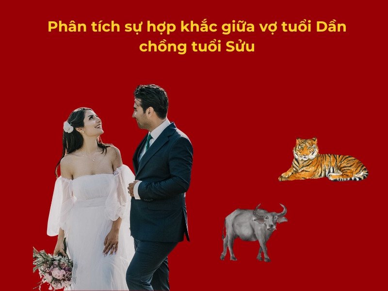 Hình ảnh minh họa sự tương hợp giữa vợ tuổi Dần và chồng tuổi Sửu trong phong thủy hôn nhân