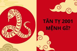 Hình ảnh minh họa tuổi Tân Tỵ 2001 mệnh Bạch Lạp Kim, giải đáp câu hỏi nữ 2001 mệnh gì