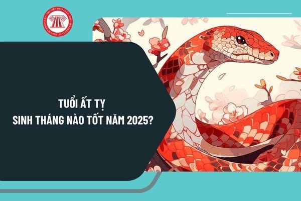 Hình ảnh minh họa về tuổi Tỵ sinh tháng nào tốt và những yếu tố phong thủy cho bé sinh năm 2025.