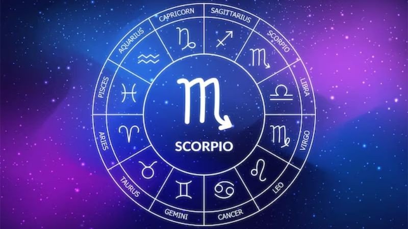 Hình ảnh một con bọ cạp đang đứng trên đá, biểu tượng của cung hoàng đạo 24/10 cung hoàng đạo gì