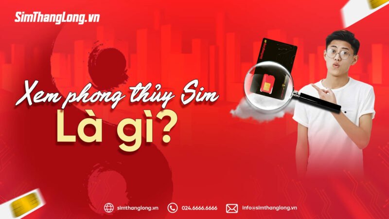 Hình ảnh một người đang nghiên cứu về ý nghĩa phong thủy của SIM điện thoại