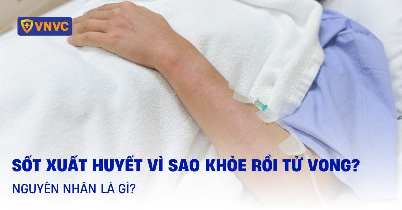 Hình ảnh người bệnh sốt xuất huyết đang được chăm sóc y tế, minh họa nguy cơ sốt xuất huyết vì sao khỏe rồi tử vong.