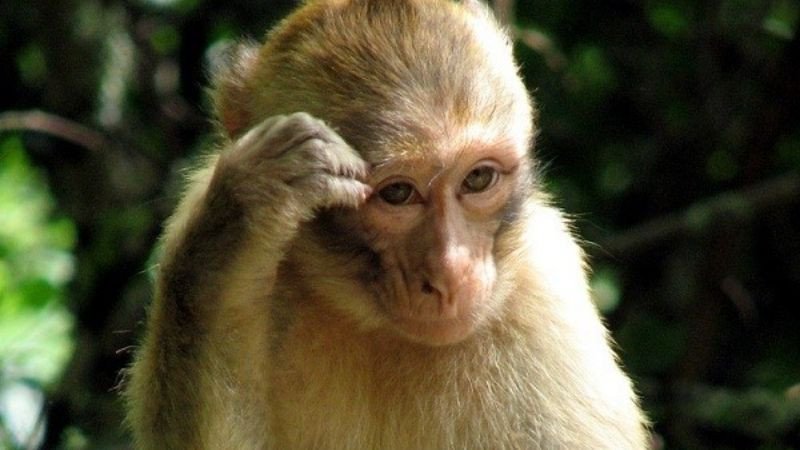 Hình ảnh người đang mỉm cười, thể hiện tính cách vui vẻ, hòa đồng của người sinh năm 2028