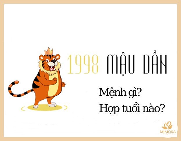 Hình ảnh người Mậu Dần 1998 với mệnh Thổ Thành Đầu Thổ