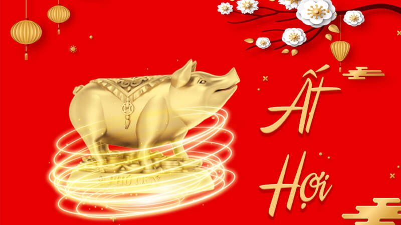 Hình ảnh người tuổi Ất Hợi 1995 mệnh gì và các yếu tố tử vi