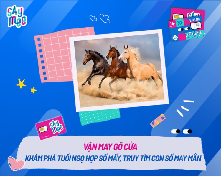 Hình ảnh tổng quan về người tuổi Ngọ và các con số may mắn phù hợp