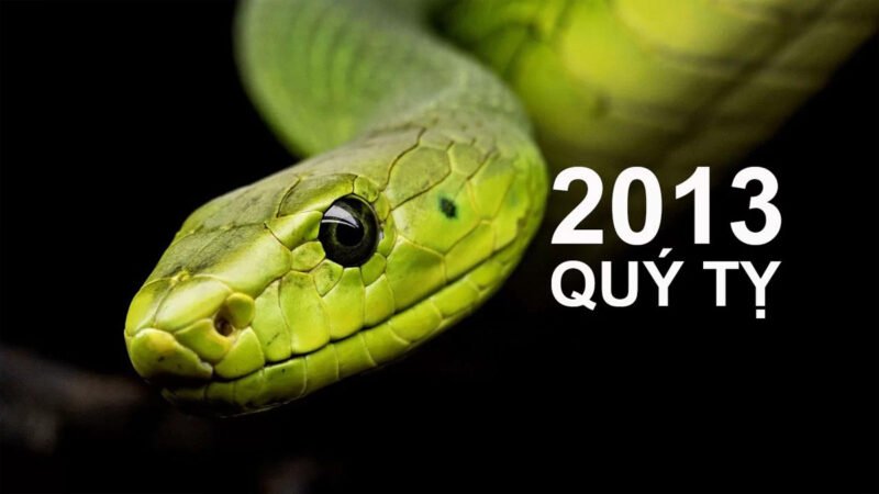 Hình ảnh tượng trưng người tuổi Quý Tỵ sinh năm 2013, giải đáp quý tỵ là mệnh gì