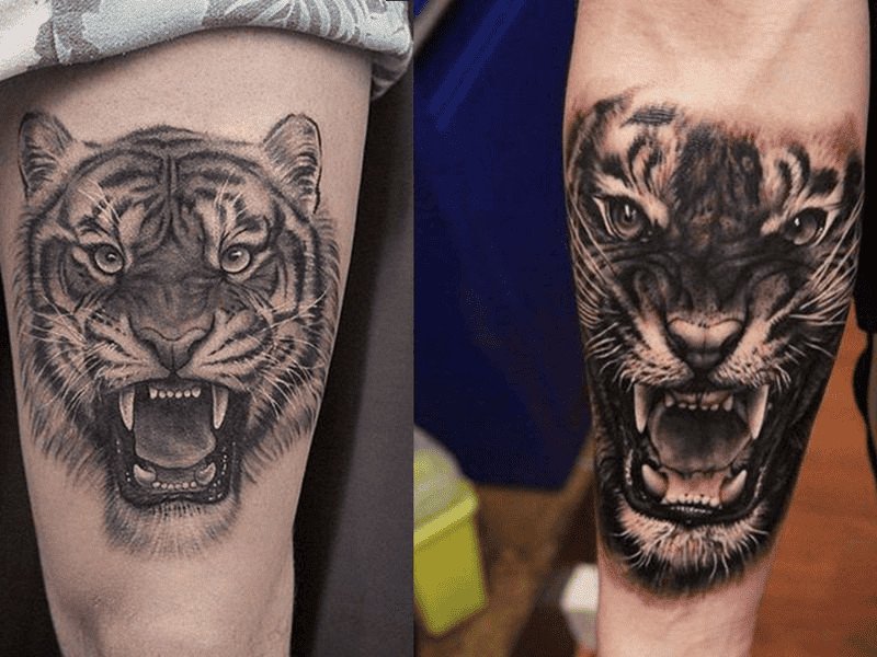 hình xăm đầu hổ thể hiện khí chất
