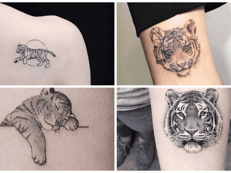 hình xăm hổ mini tinh tế