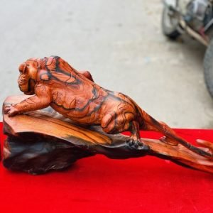 Hổ-săn-mồi-6