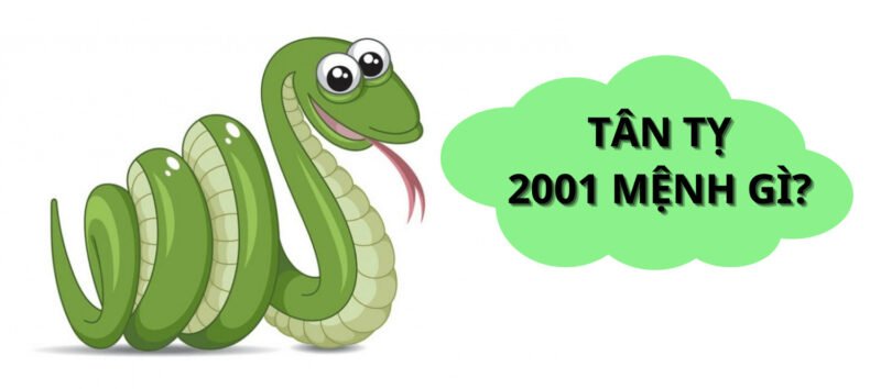 Sinh Năm 2001 Mệnh Gì Sao Gì? Giải Mã Vận Mệnh Tân Tỵ