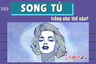 Khám phá vẻ ngoài và sức hút đặc trưng của người thuộc cung Song Tử