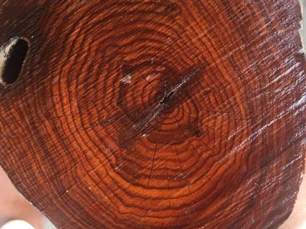 Khối gỗ Sưa đỏ với vân gỗ uốn lượn tinh tế, 'đệ nhất vân'