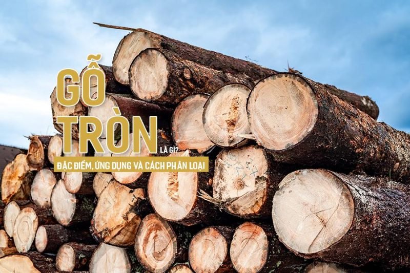 Các khúc gỗ tròn tự nhiên được gọi là log trong tiếng Anh với nhiều kích thước khác nhau