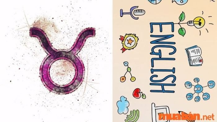 Kim Ngưu đối mặt với thách thức môn Tiếng Anh, cần vượt qua sự thiếu tự tin để phát triển kỹ năng ngôn ngữ.