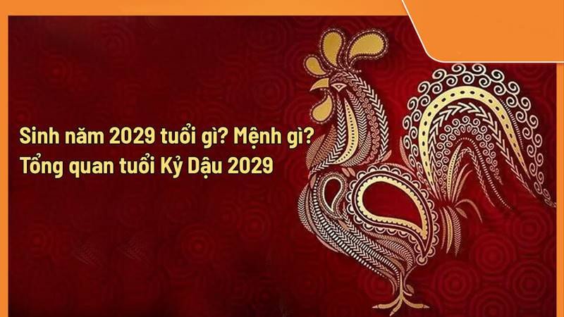 Kỷ Dậu sinh năm 2029 hợp và kỵ màu gì?