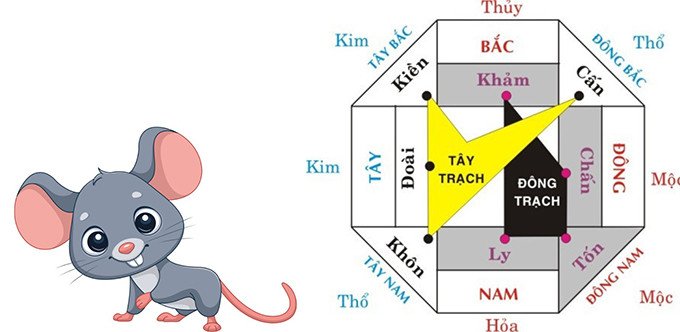 La bàn phong thủy chỉ hướng nhà phù hợp cho gia chủ sinh năm 1996 mệnh gì