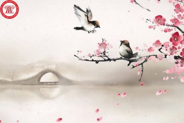 Lá số tử vi và ý nghĩa cung Thiên Di