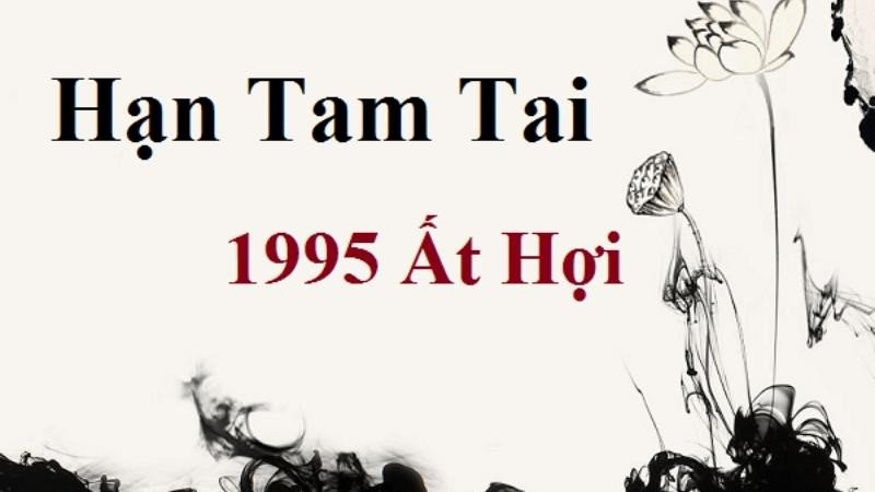 Lịch trình các năm hạn tam tai của tuổi Ất Hợi 1995 cần chú ý