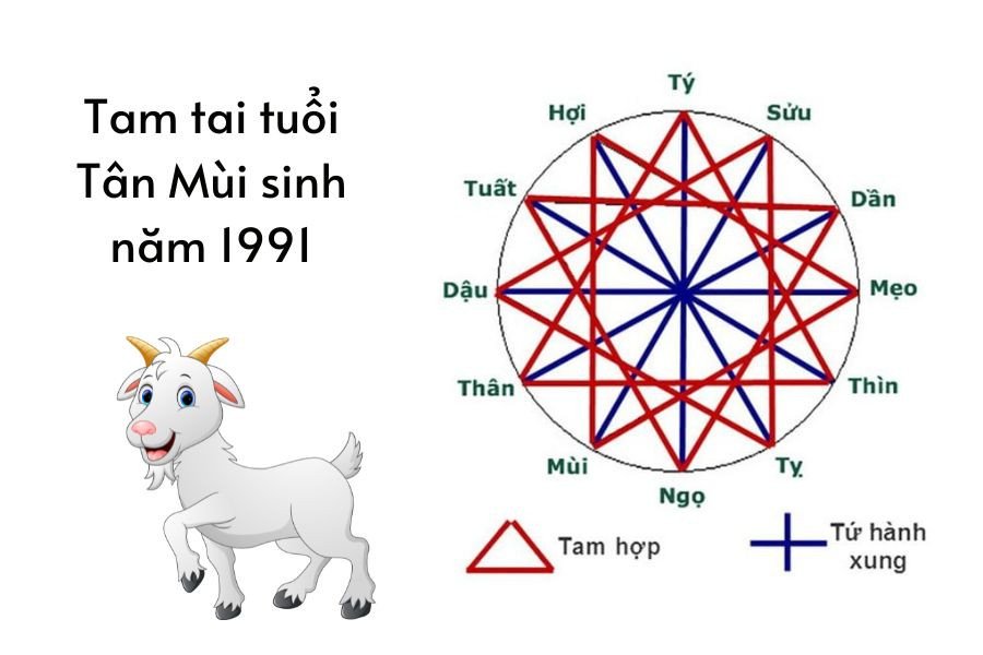 Lịch trình các năm Tam Tai cần lưu ý cho người tuổi Tân Mùi 1991