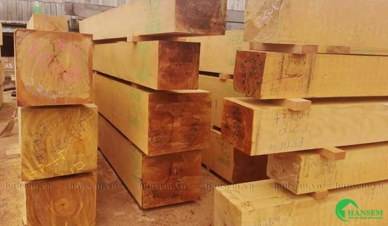 Mặt cắt thân gỗ Okan tự nhiên thể hiện rõ đường vân gỗ độc đáo và màu sắc ấm áp