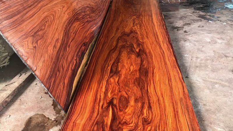 Mặt cắt ngang của gỗ trắc với vân gỗ đẹp