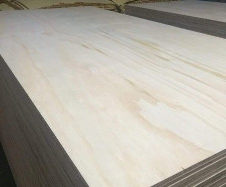 Mặt gỗ Plywood sử dụng ván lạng từ cây Bạch Dương với vân gỗ đặc trưng