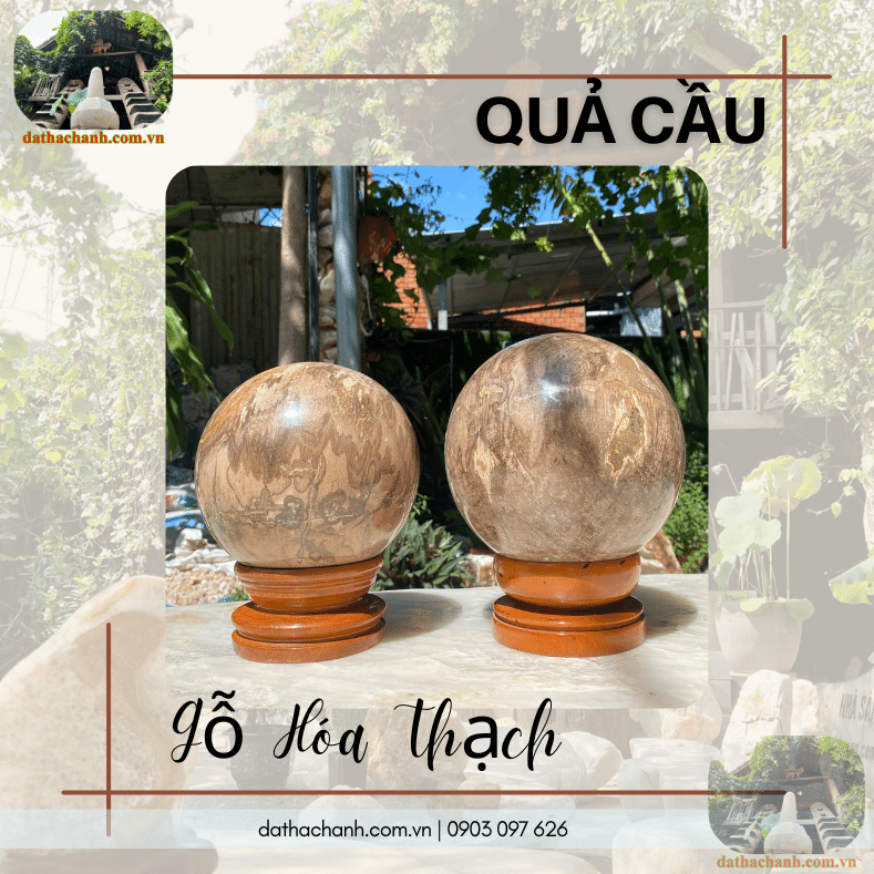 Gỗ hóa thạch trưng bày với nhiều màu sắc tự nhiên phong phú và các đường vân đá độc đáo có tác dụng trang trí cao