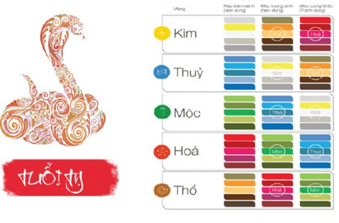 Màu sắc hợp với người tuổi Tỵ