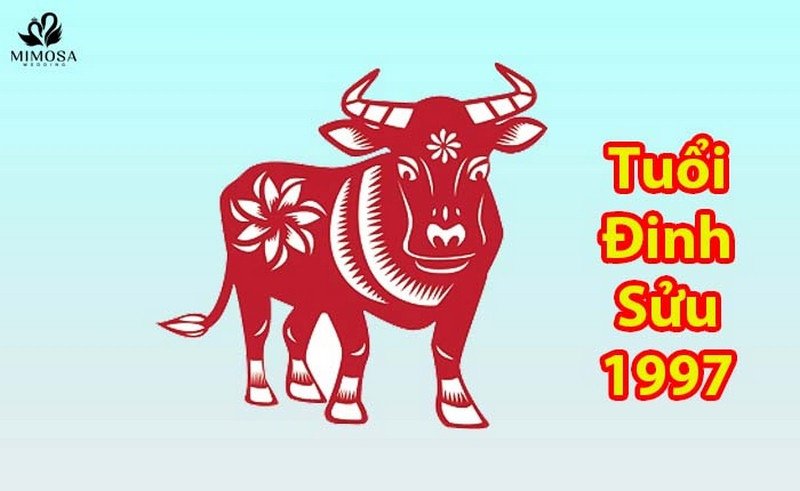 Màu sắc may mắn và kỵ cho nữ sinh 1997 Đinh Sửu khi xem hợp tuổi