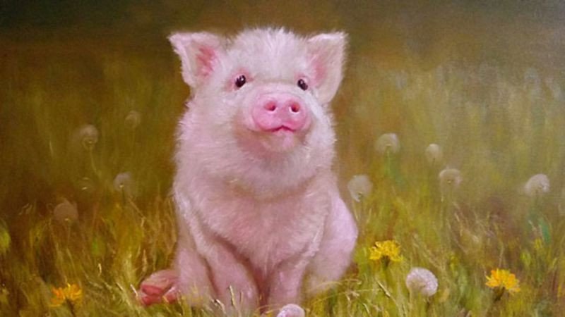 Màu sắc phong thủy thu hút tài lộc cho người mệnh Kim 2031