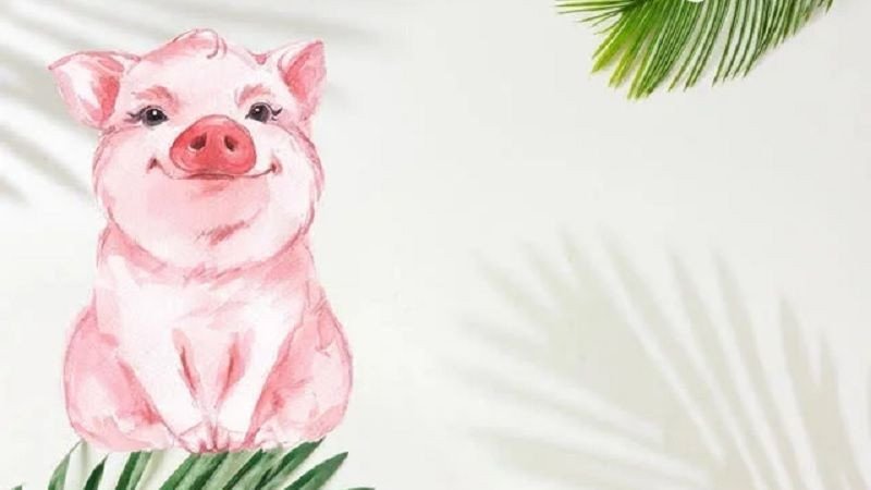 Màu sắc phù hợp với người sinh năm 1995