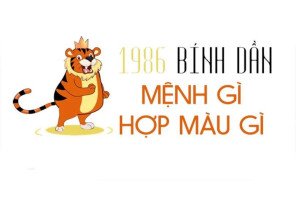 Màu sắc tương hợp với Bính Dần 1986