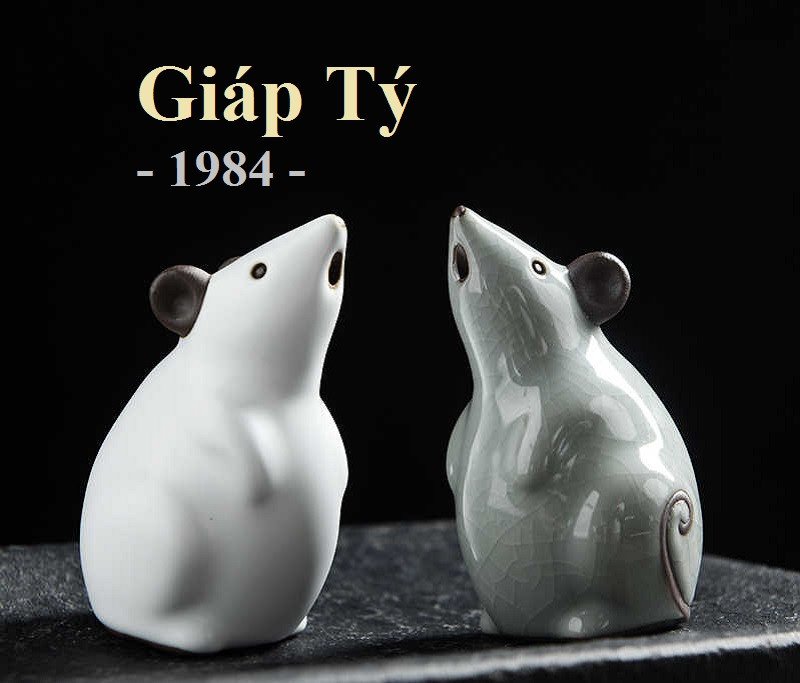 Màu sắc tương khắc cần tránh cho người sinh năm 1984 mệnh gì hợp màu gì