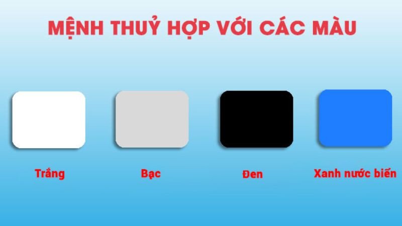 Màu sắc tương sinh và tương hợp cho người sinh năm 1982 như trắng, bạc, xanh biển, đen