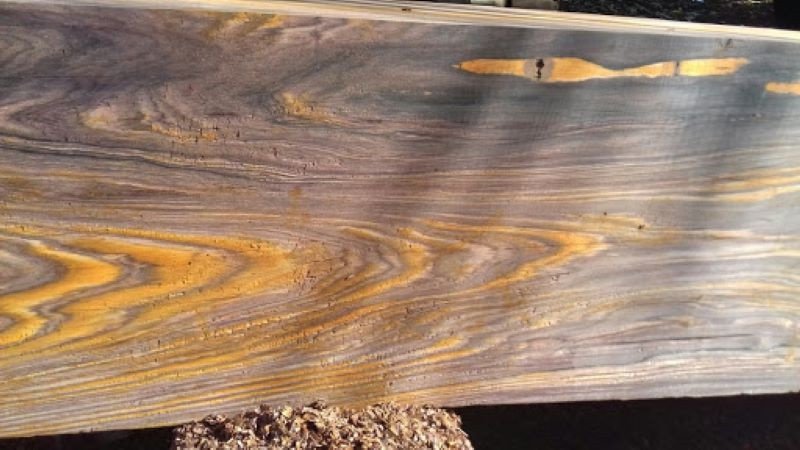 Màu sắc vàng đặc trưng của gỗ trắc vàng