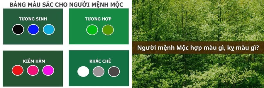 Màu vàng sậm, nâu đất, trắng bạc là những màu kỵ cho người tuổi Tỵ mệnh Mộc, có thể gây khó khăn trong cuộc sống.