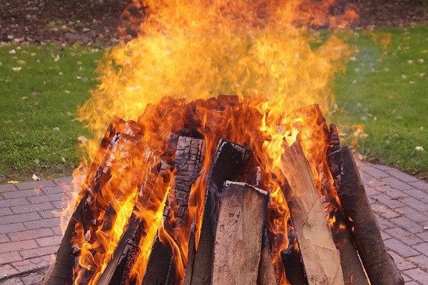 Mệnh Hỏa hợp với mệnh Mộc nhất do quan hệ tương sinh mang lại nhiều điều tốt đẹp