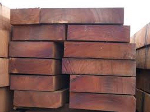 Miếng gỗ trắc Nam Phi (trắc Ngô) với đặc điểm riêng