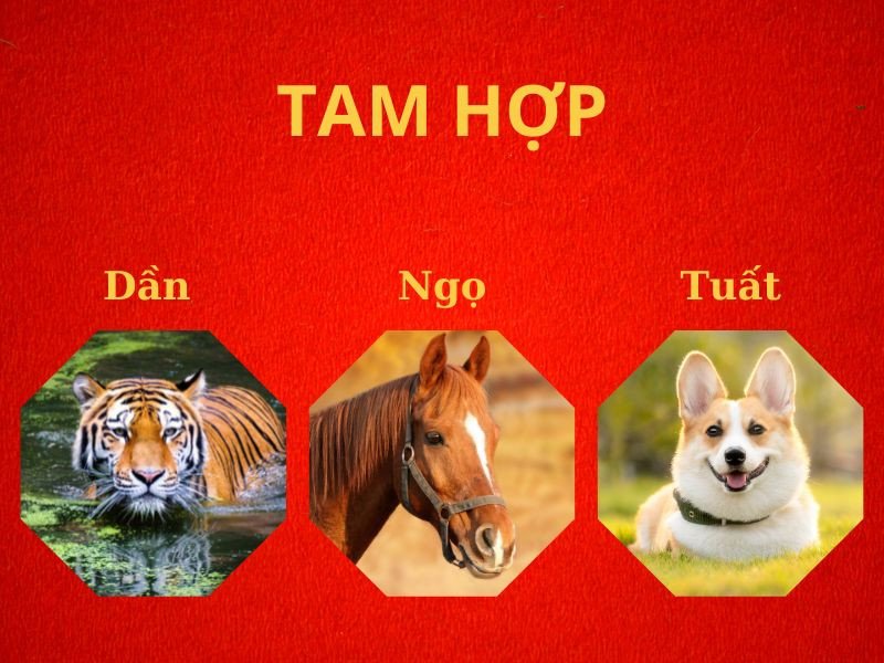 Minh họa bộ ba tam hợp Dần – Ngọ – Tuất mang lại may mắn