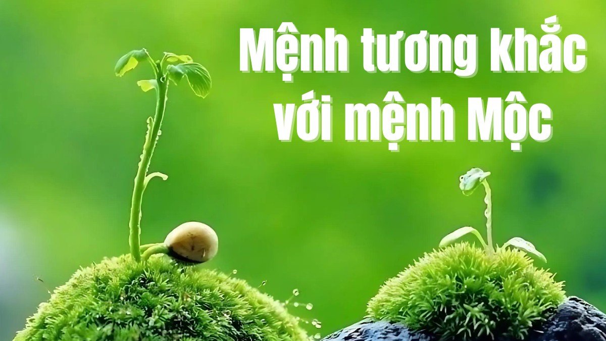 Minh họa các mệnh tương khắc với mệnh Mộc theo thuyết ngũ hành phong thủy