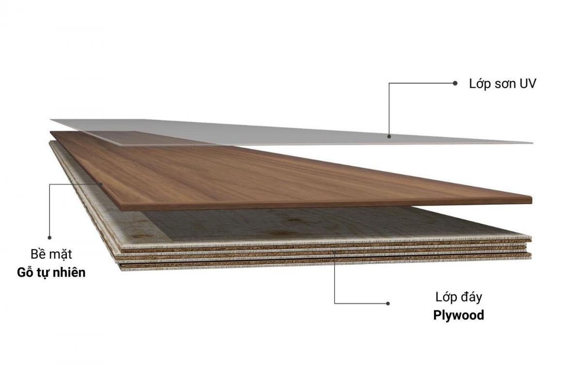 Minh họa cấu tạo các lớp ván veneer được xếp vuông góc trong gỗ Plywood