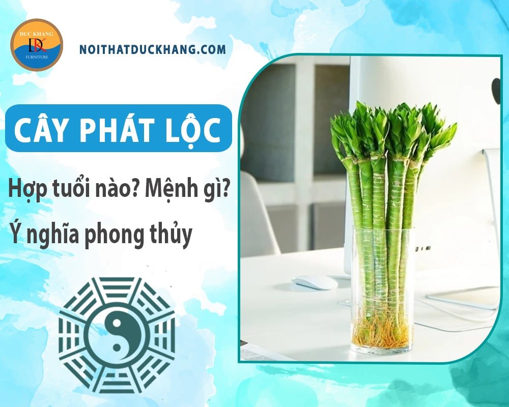 Một bình phát lộc với nhiều thân cây được uốn tạo hình độc đáo, lá xanh tươi tốt, biểu trưng cho sự sung túc, phát triển và may mắn trong phong thủy, thường được dùng để trang trí nhà cửa hoặc làm quà tặng.