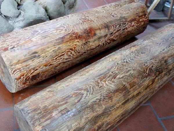Một khúc gỗ Thủy Tùng tự nhiên