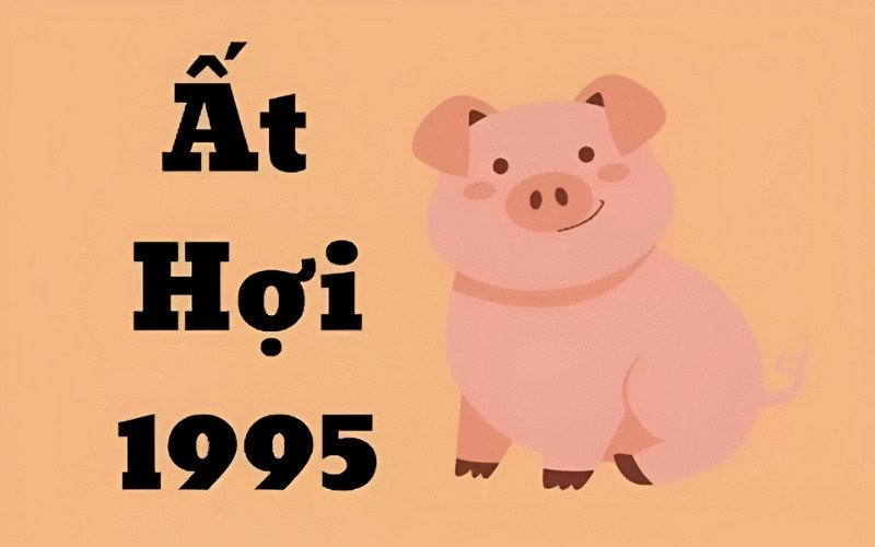 Nam 1995 Ất Hợi và nữ 1995 Ất Hợi cùng tuổi, cùng mệnh Hỏa, cần nhường nhịn.