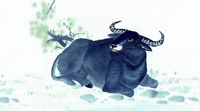 Nam 52 tuổi là tuổi con gì và cách tính tuổi âm dương