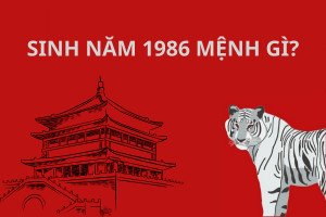 Nam Bính Dần 1986 mệnh gì