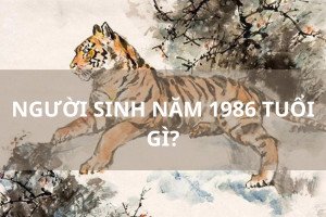 Nam Bính Dần 1986 tuổi gì