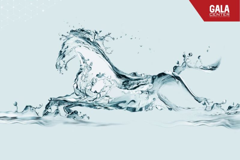 Năm Bính Ngọ 2026 thuộc mệnh Thiên Hà Thủy, mang ý nghĩa của sự tinh khiết và nuôi dưỡng sự sống.