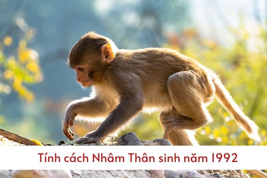 Nam Nhâm Thân 1992 có một ý chí kiên cường, sẵn sàng đối mặt với khó khăn, thử thách